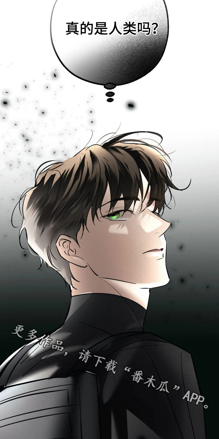 无息之行漫画,第70章：异类4图