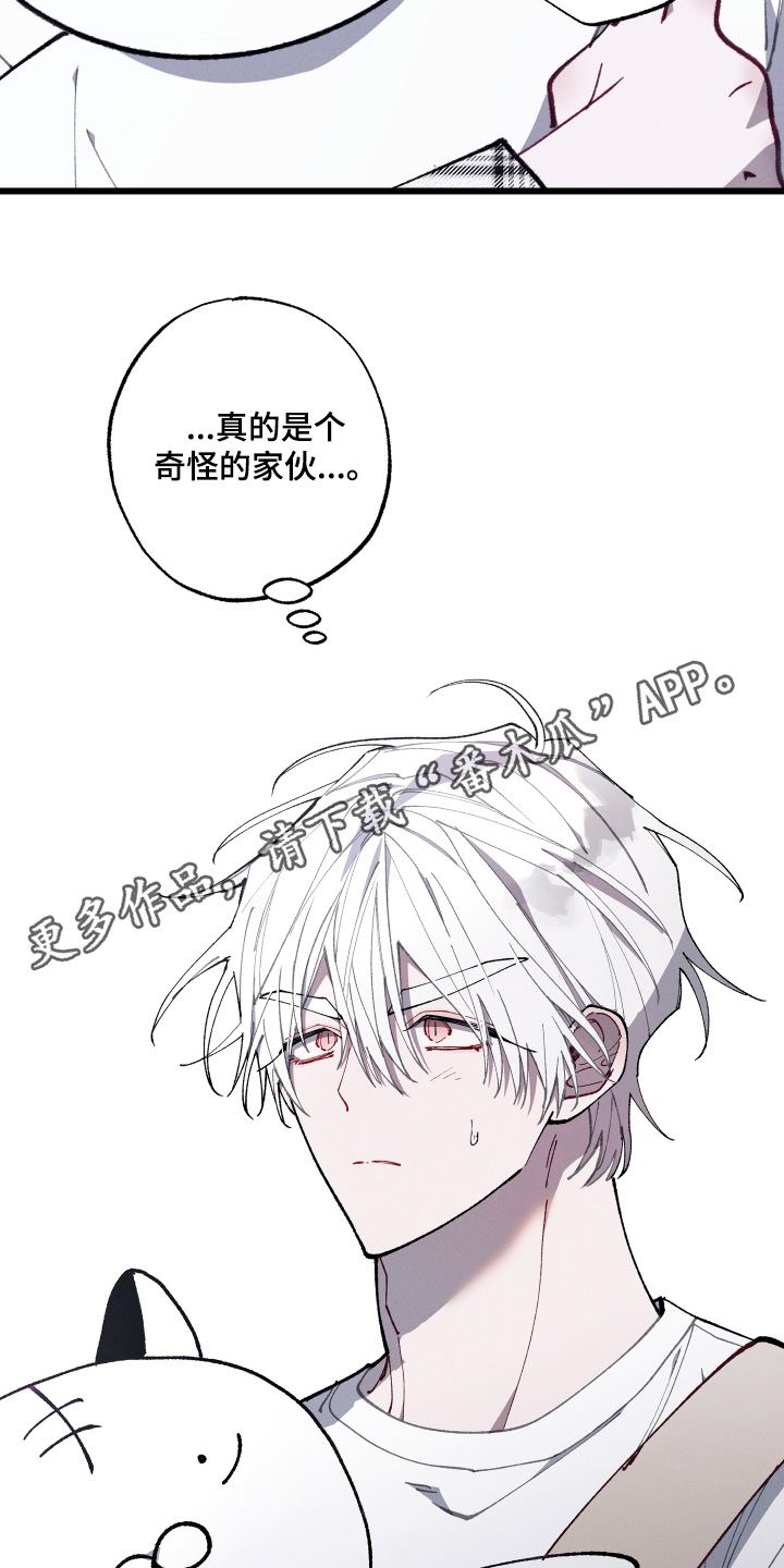 命运的名字漫画,第71章：【第二季】奇怪的家伙2图