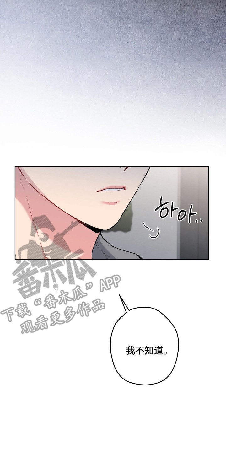 阴暗的幻觉漫画,第95章：【第二季】不现实5图