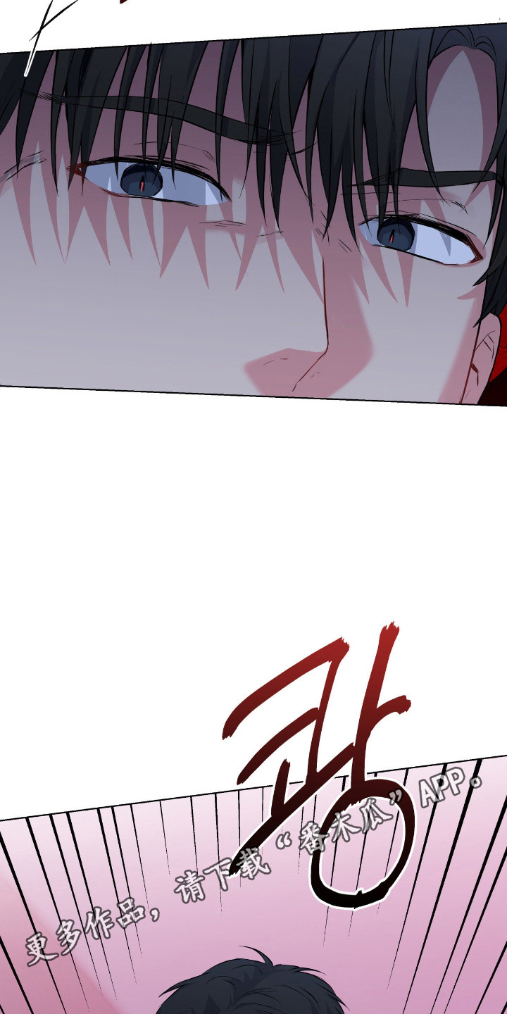 阴暗的幻觉漫画,第101章：【第二季】同归于尽4图