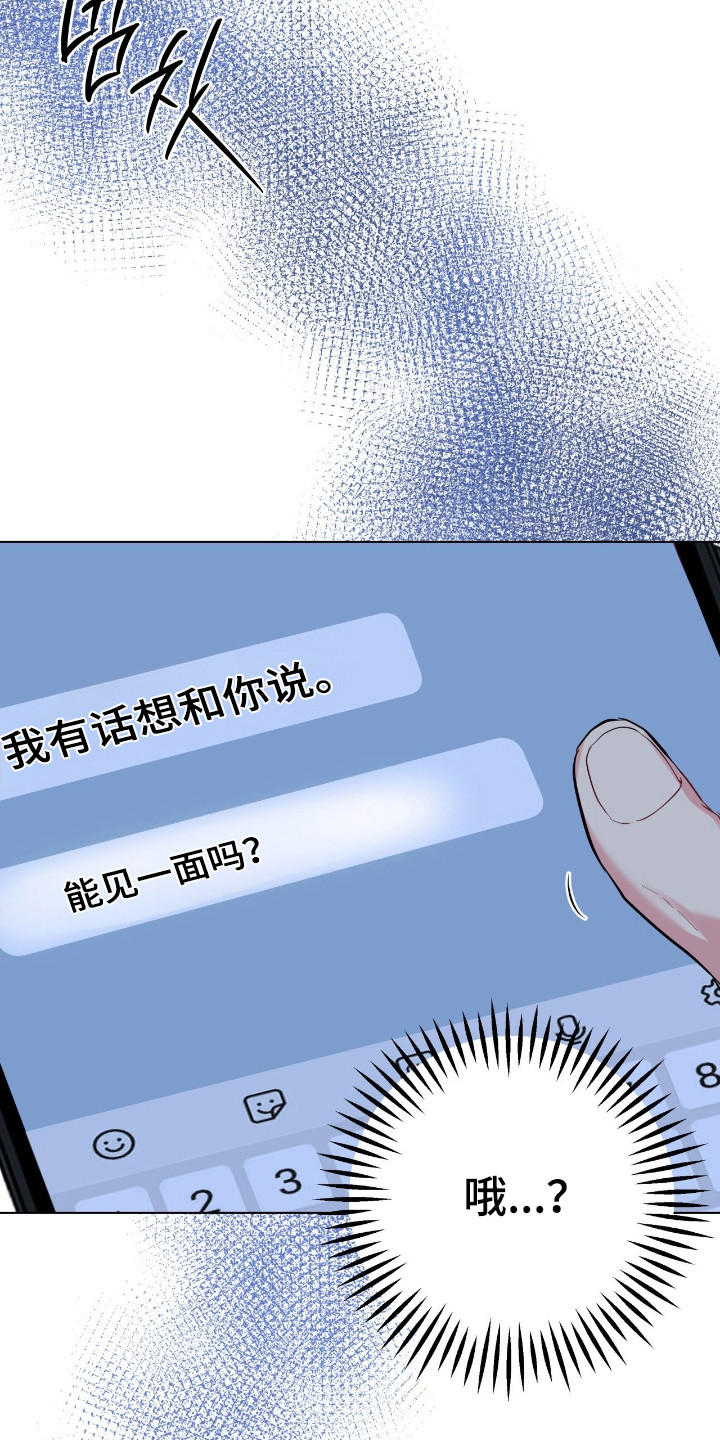 阴暗的幻觉漫画,第93章：【第二季】提出见面3图