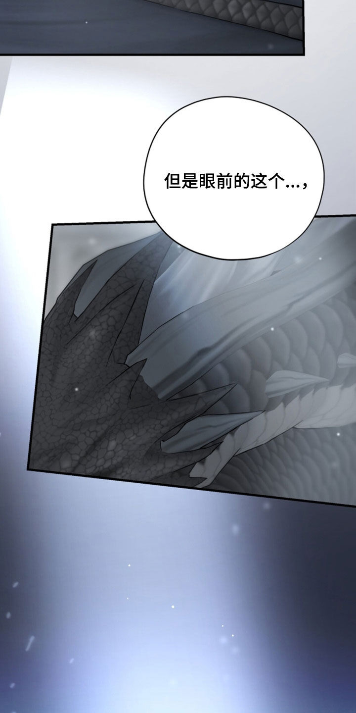 黑暗时代漫画,第99章：【第二季】东方龙3图