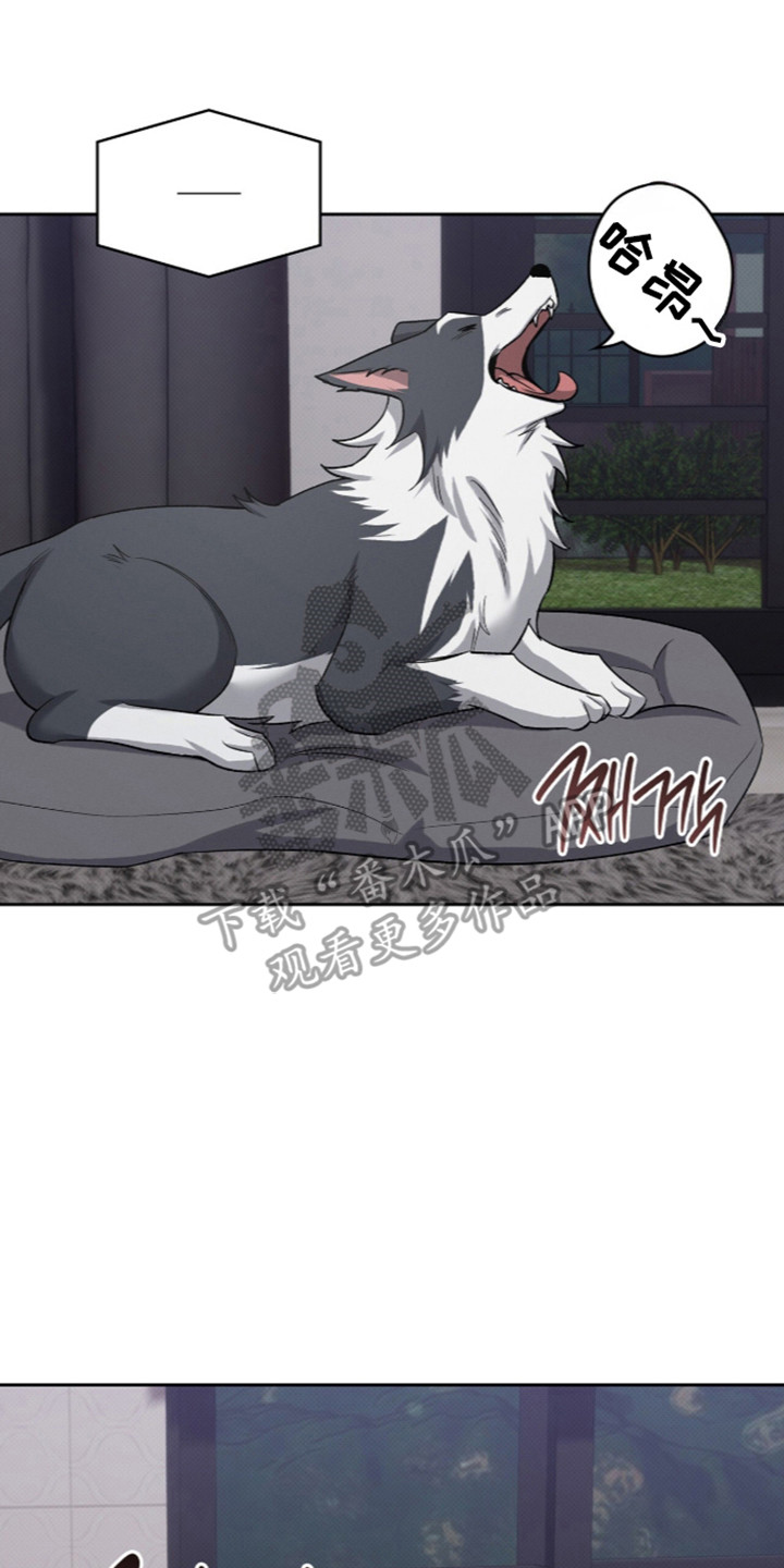 无名dc漫画,第120章：【第二季】成年礼物3图