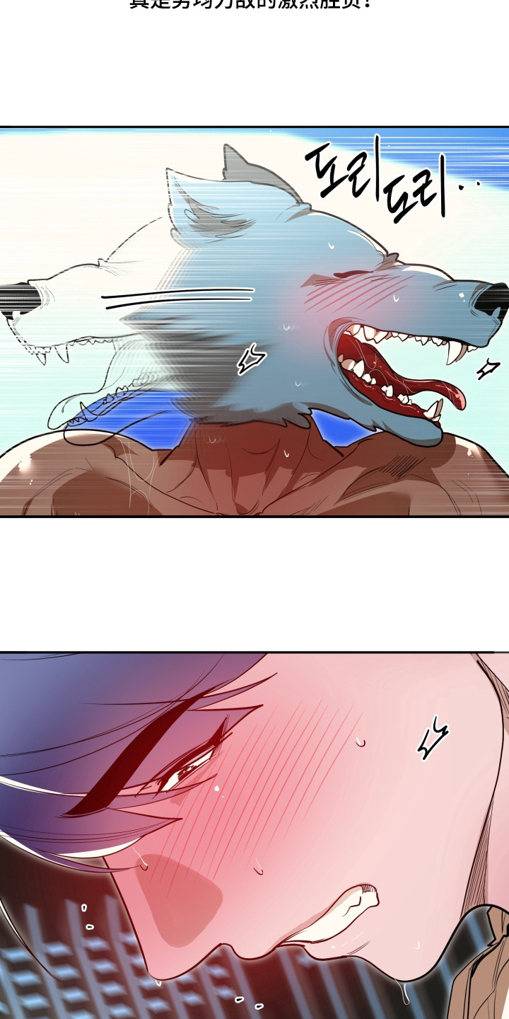 偶像竞技场漫画,第23章：胜利者4图