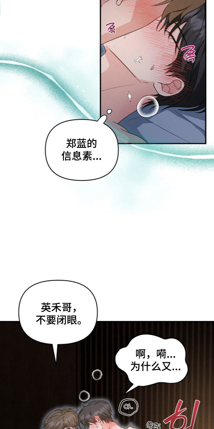 我的alpha失忆了读后感漫画,第92章：是笨蛋啊5图