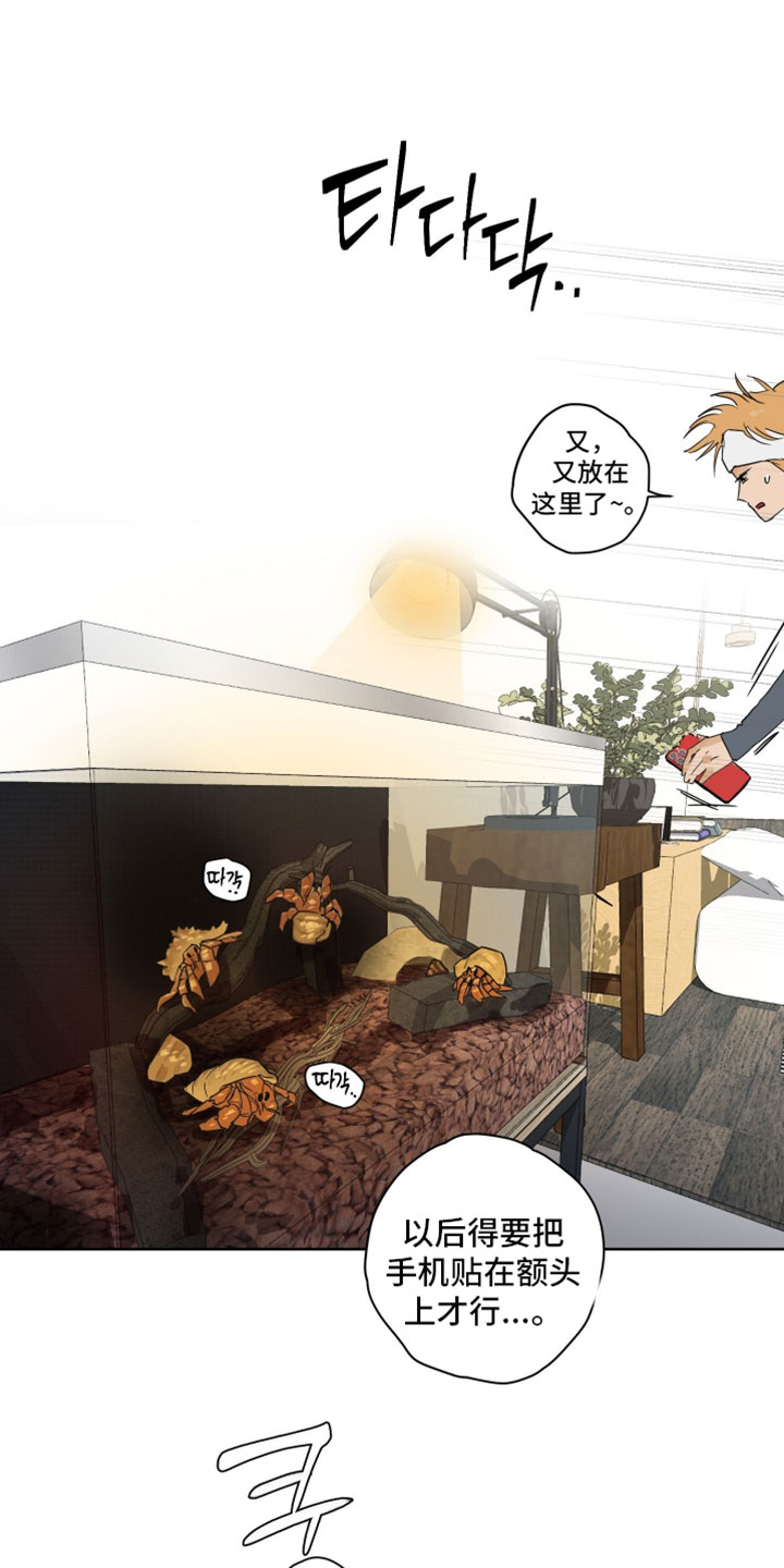 致命选拔漫画书全集漫画,第26章：大改造2图