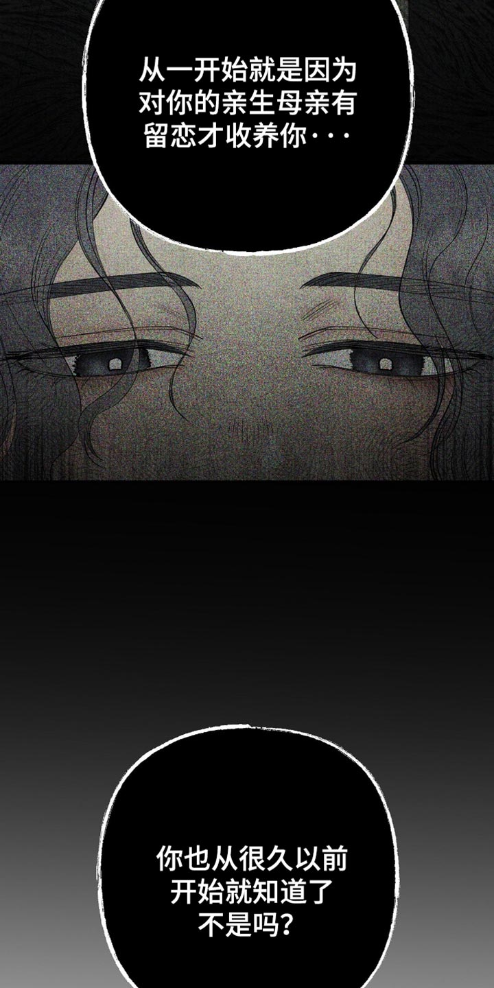 幽灵fgm漫画,第80章：我的爱都给你了4图