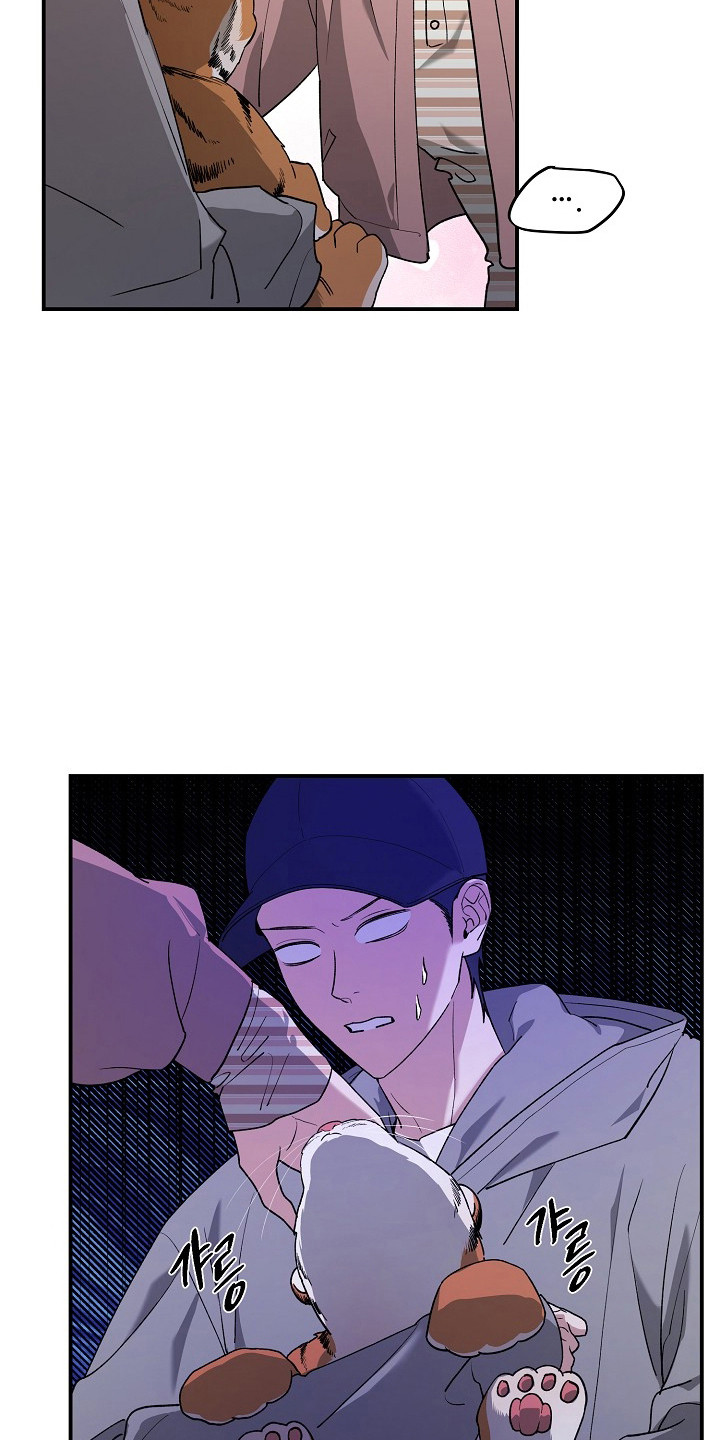 命中犯虎漫画,第80章：【第二季】这是猫1图