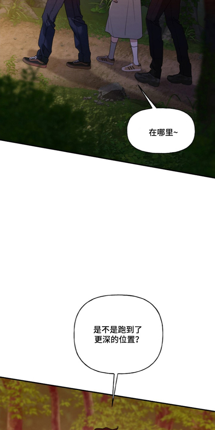 命中犯虎漫画,第82章：【第二季】进山寻找4图