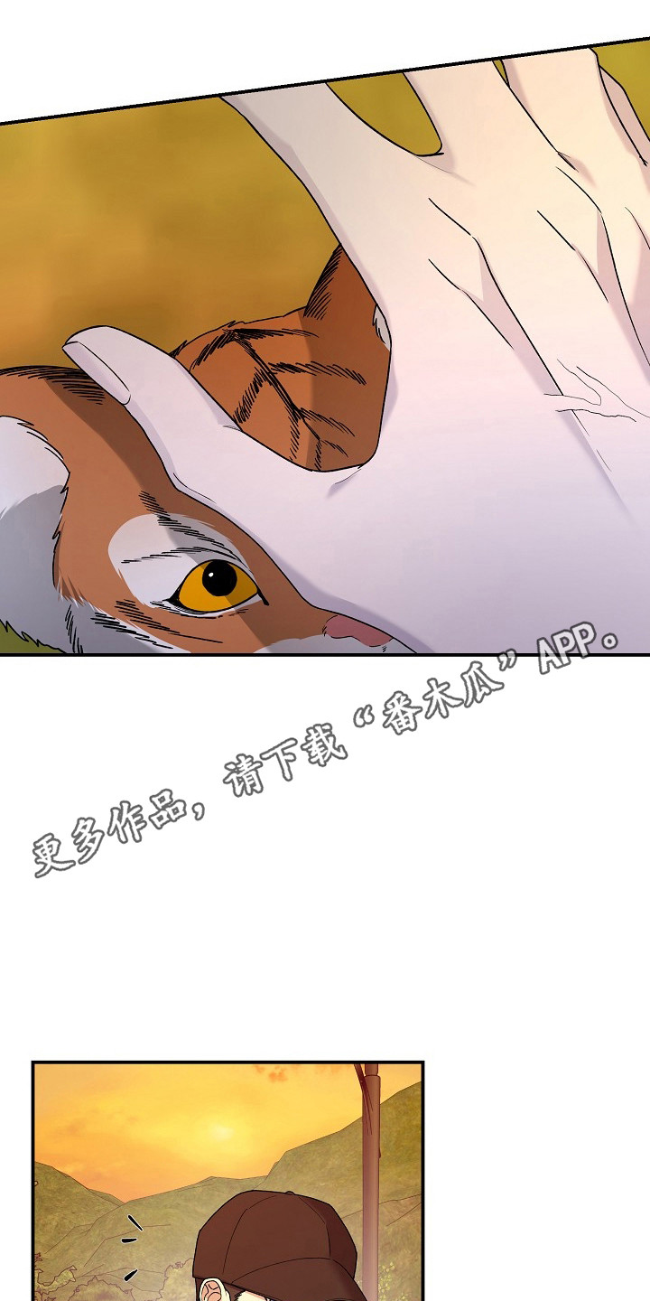 命中犯虎漫画,第81章：【第二季】小山不见3图