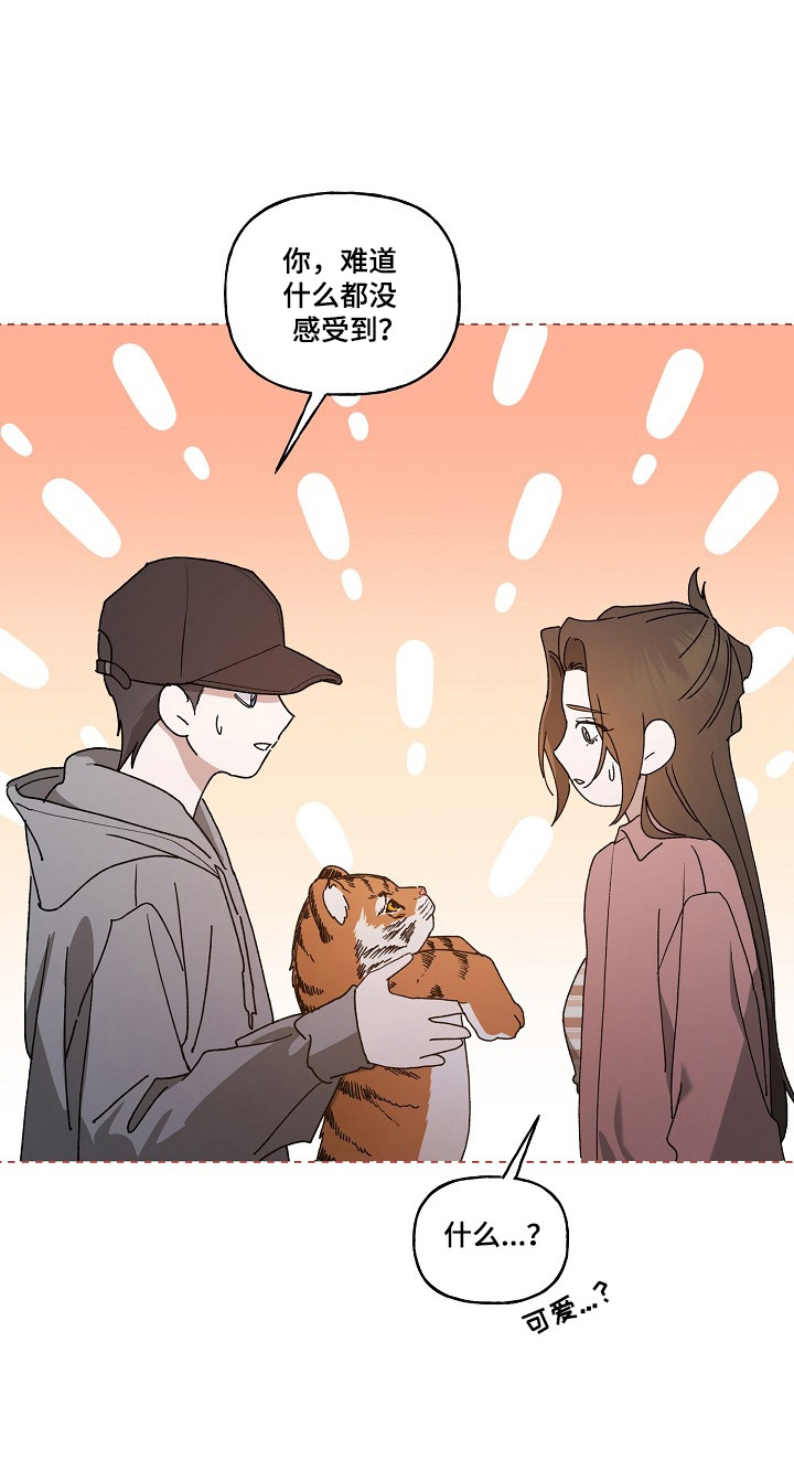 命中犯虎漫画,第80章：【第二季】这是猫1图