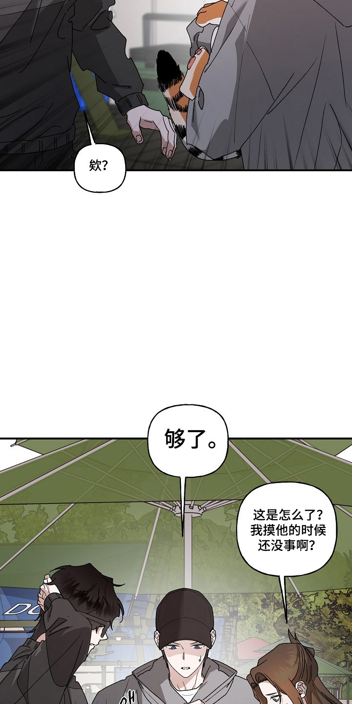 命中犯虎漫画,第80章：【第二季】这是猫4图