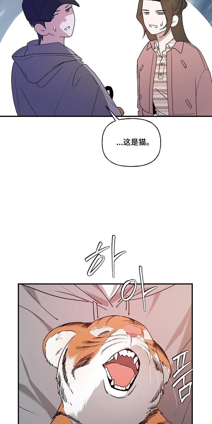 命中犯虎漫画,第80章：【第二季】这是猫4图