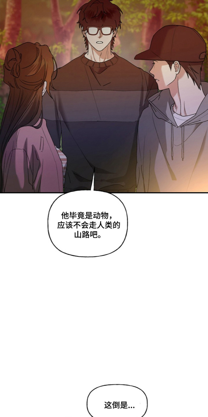 命中犯虎漫画,第82章：【第二季】进山寻找5图