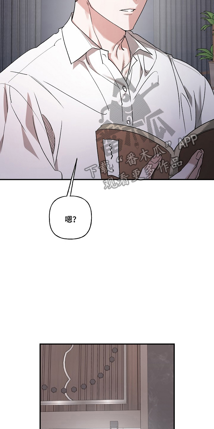 命中犯虎漫画,第86章：【第二季】安全护送1图
