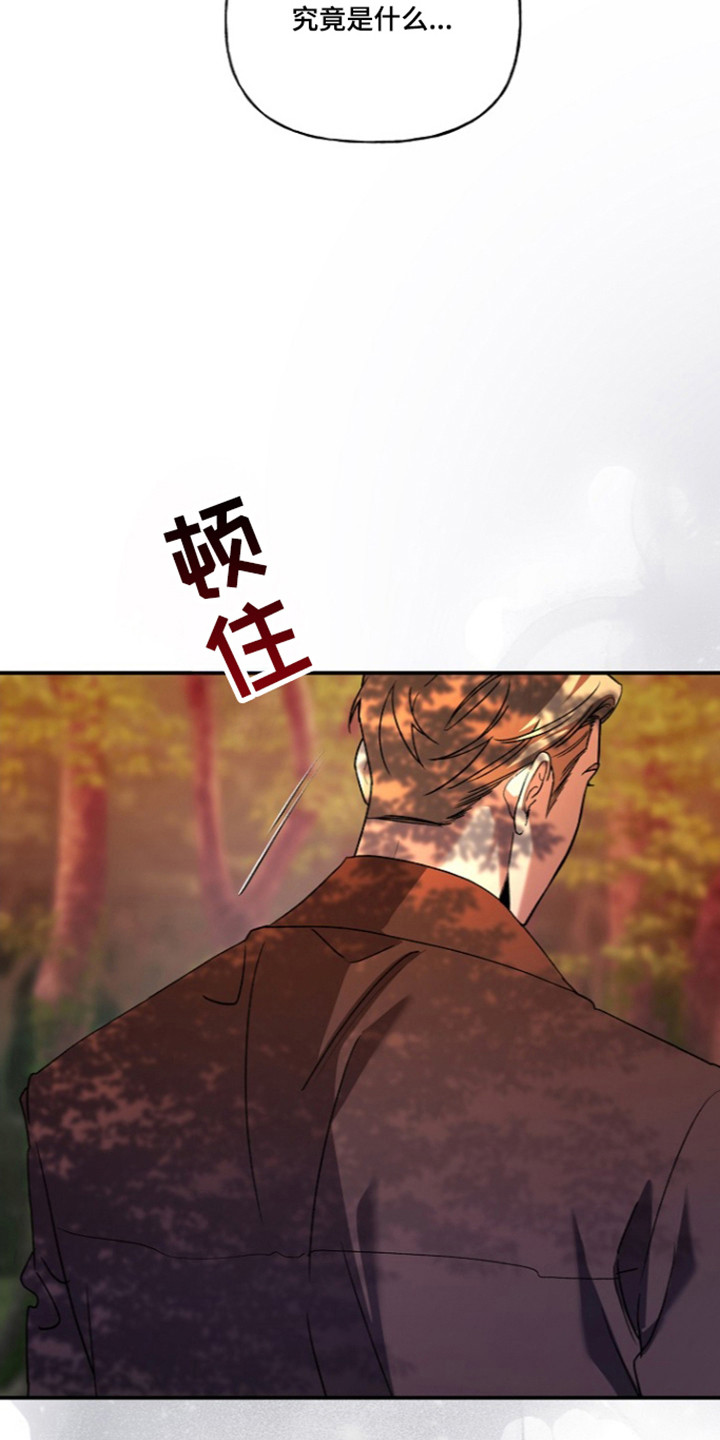 命中犯虎漫画,第83章：【第二季】遭遇暗算1图