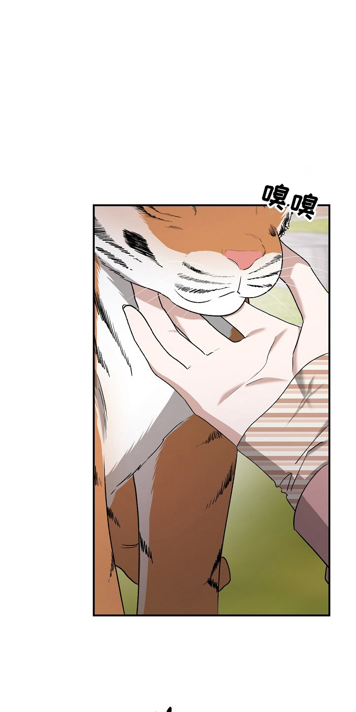 命中犯虎漫画,第80章：【第二季】这是猫5图