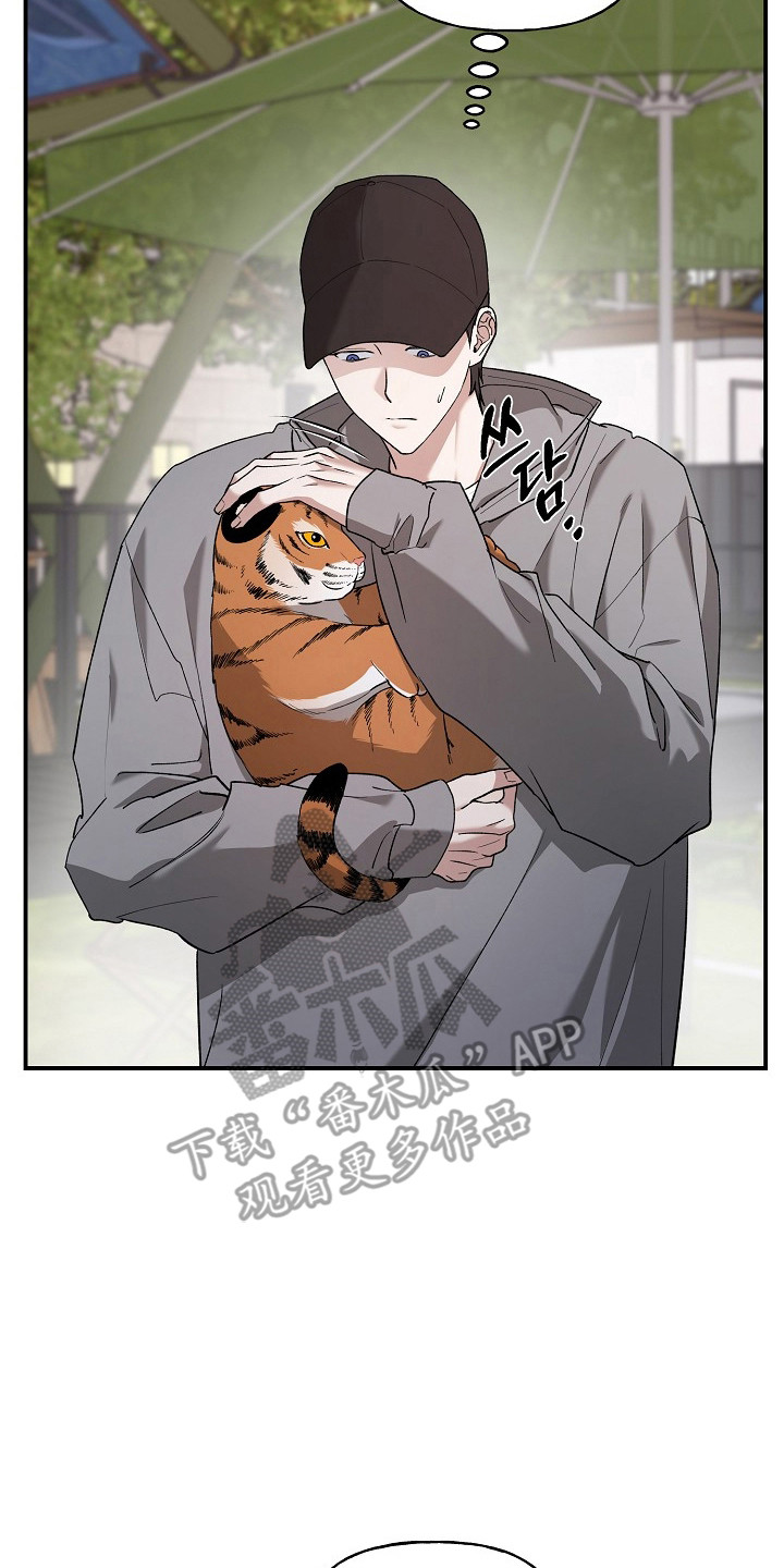 命中犯虎漫画,第80章：【第二季】这是猫2图