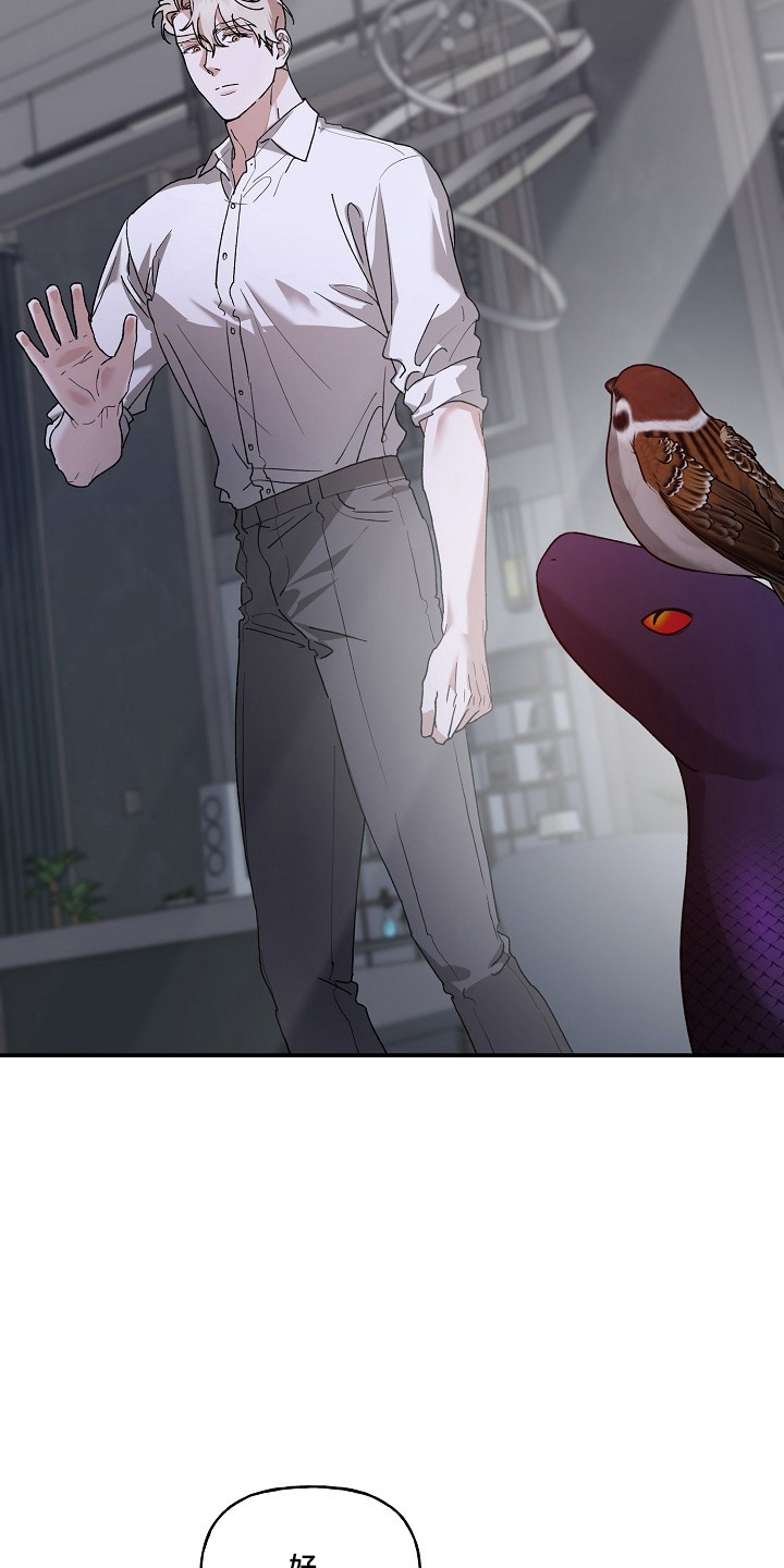 命中犯虎漫画,第86章：【第二季】安全护送4图