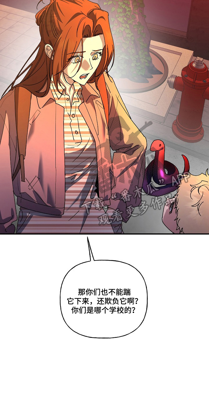 命中犯虎漫画,第86章：【第二季】安全护送5图
