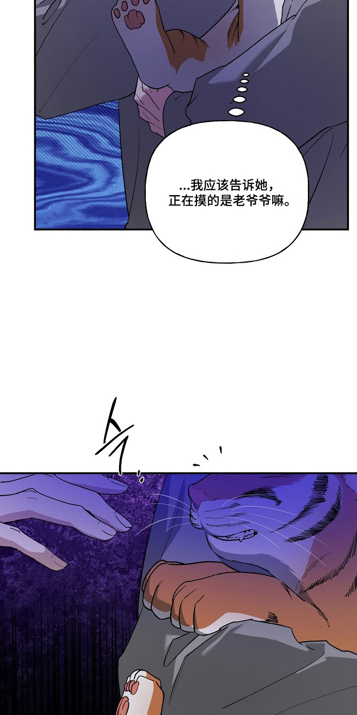 命中犯虎漫画,第80章：【第二季】这是猫2图