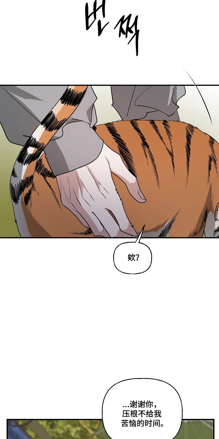 命中犯虎漫画,第80章：【第二季】这是猫1图