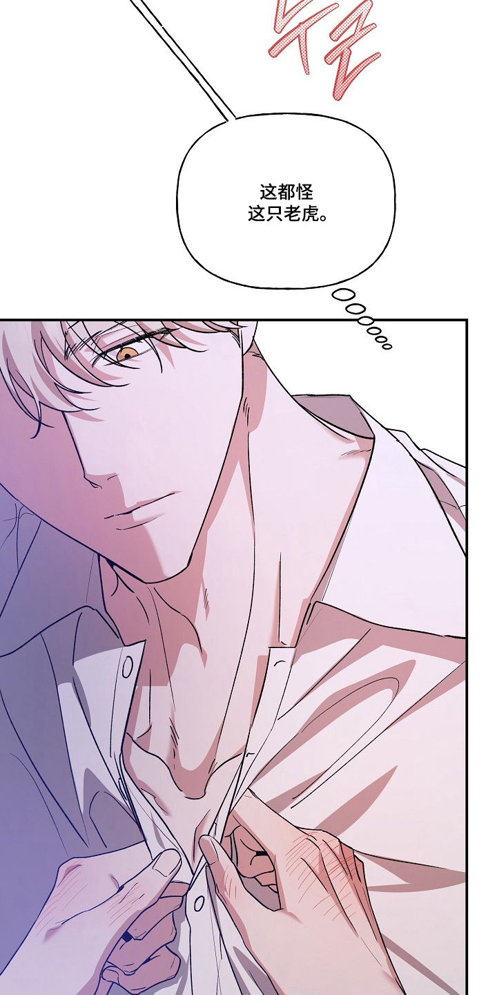 命中犯虎漫画,第87章：【第二季】特别存在1图