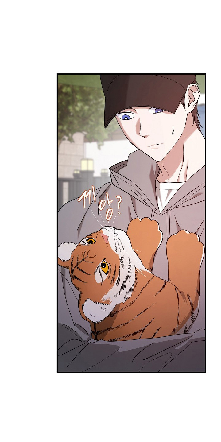 命中犯虎漫画,第80章：【第二季】这是猫4图