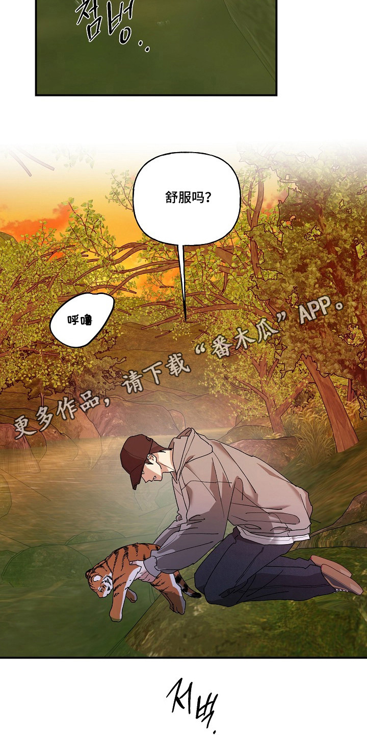 命中犯虎漫画,第80章：【第二季】这是猫1图