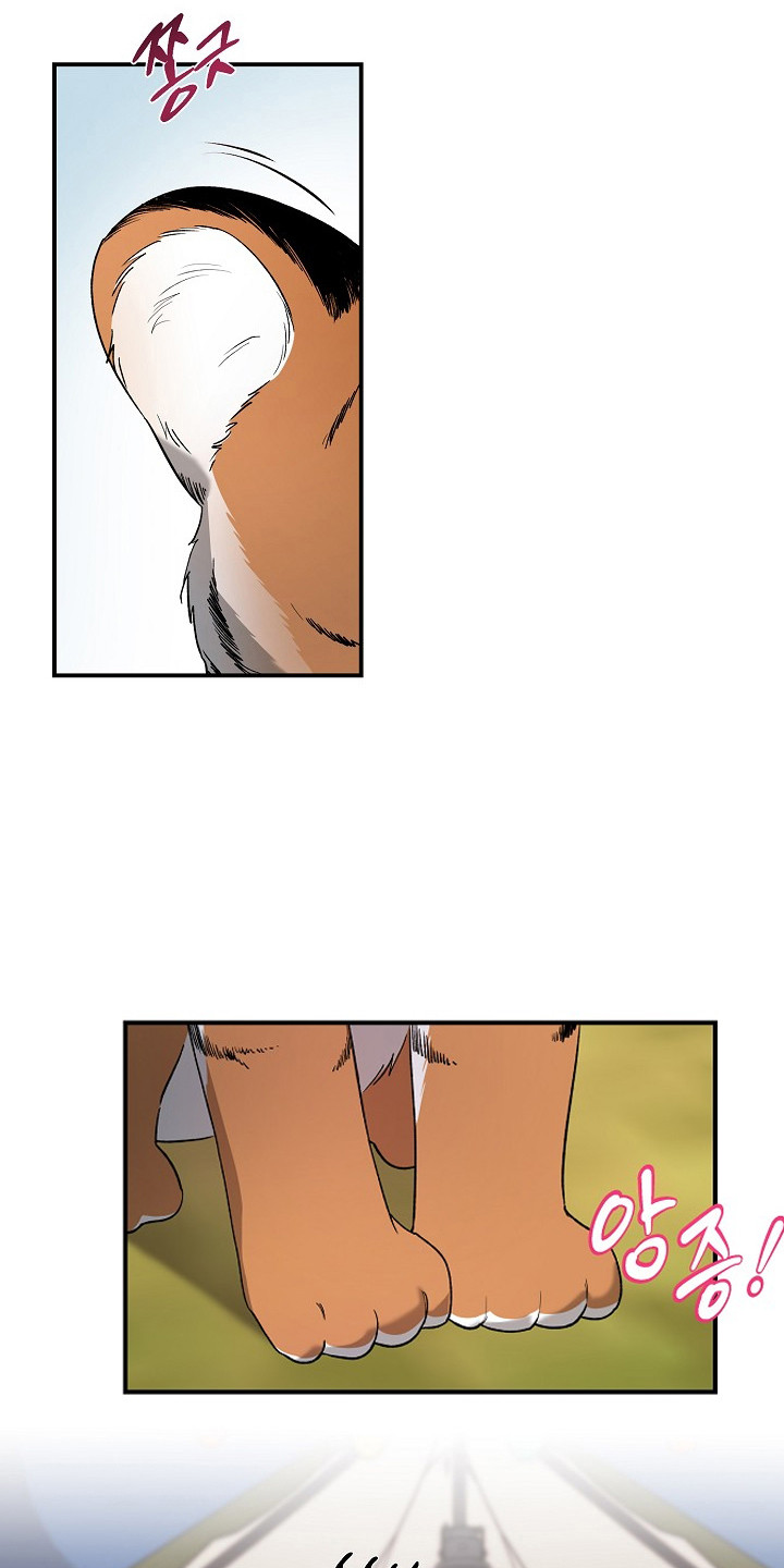 命中犯虎漫画,第80章：【第二季】这是猫1图