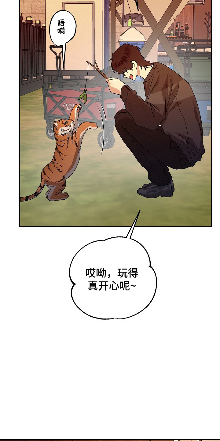 命中犯虎漫画,第81章：【第二季】小山不见5图