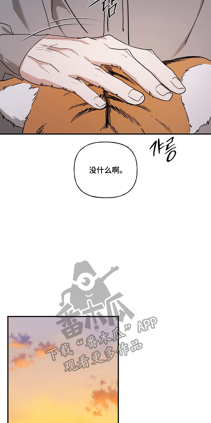 命中犯虎漫画,第80章：【第二季】这是猫3图