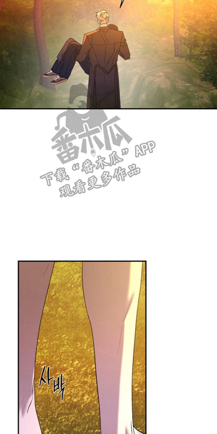 命中犯虎漫画,第85章：【第二季】梦与现实5图