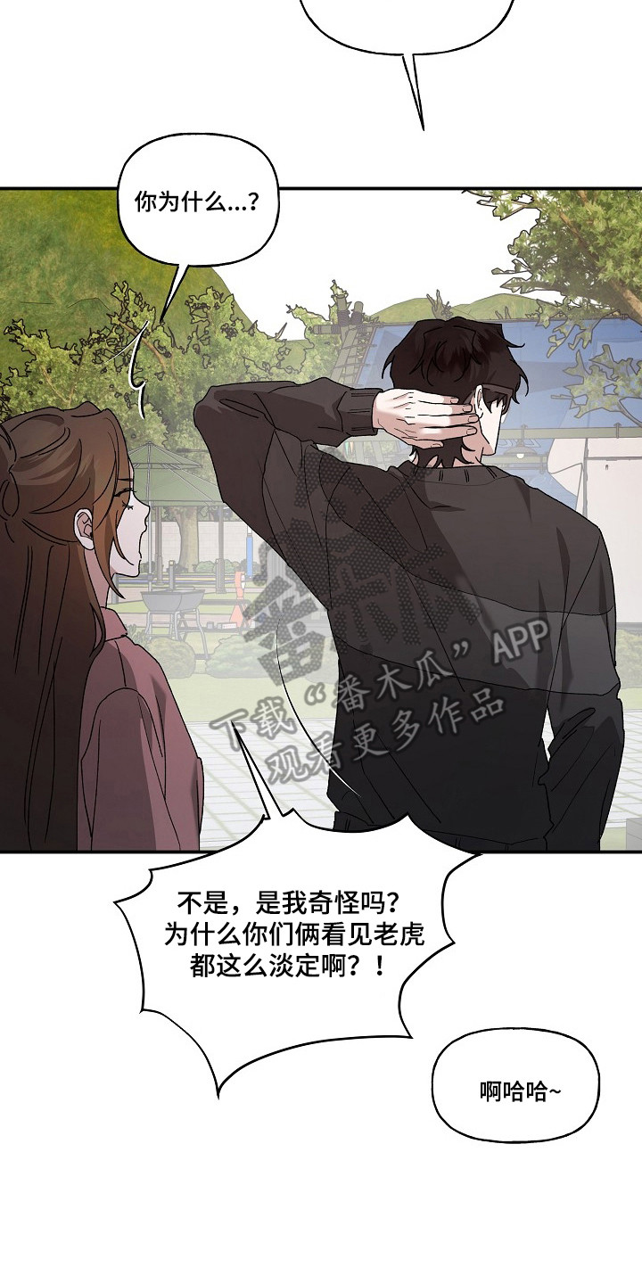 命中犯虎漫画,第80章：【第二季】这是猫3图