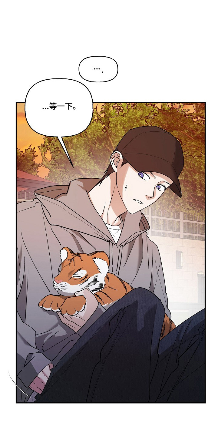 命中犯虎漫画,第81章：【第二季】小山不见3图