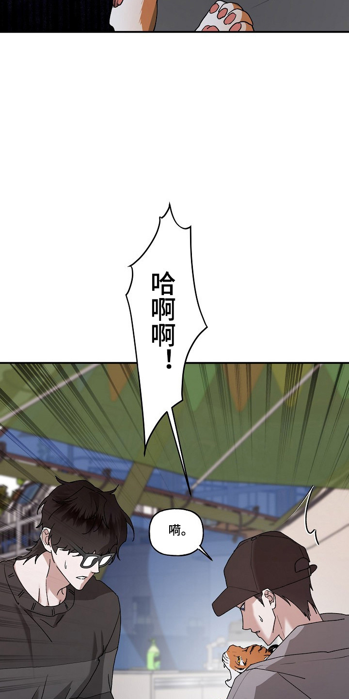 命中犯虎漫画,第80章：【第二季】这是猫3图