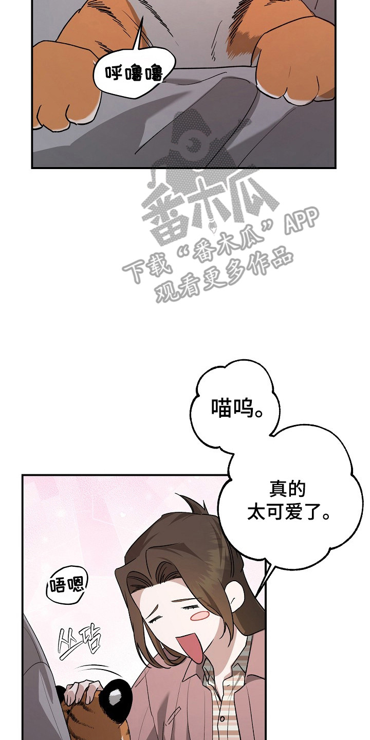 命中犯虎漫画,第80章：【第二季】这是猫5图