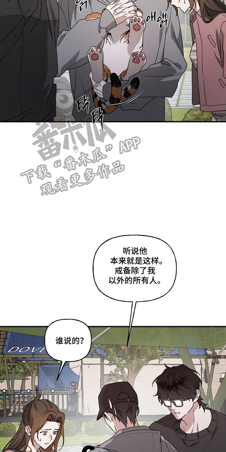 命中犯虎漫画,第80章：【第二季】这是猫5图