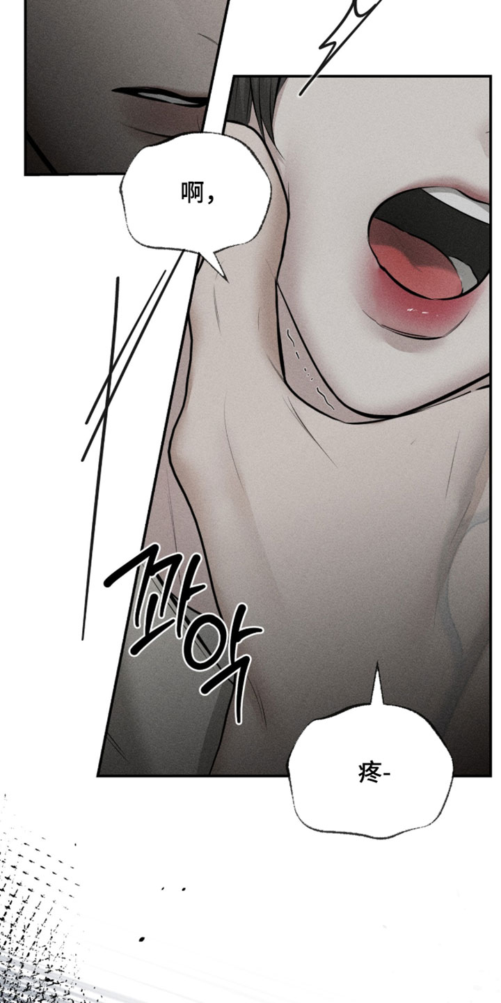 标价的灵魂漫画,第55章：快点开车吧5图