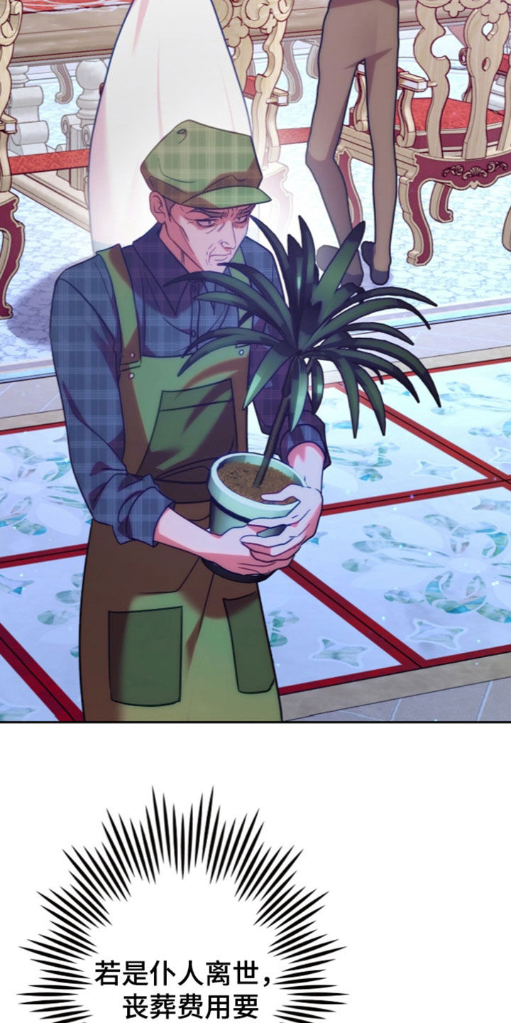 少爷的金鱼仆从漫画,第65章：棋子4图
