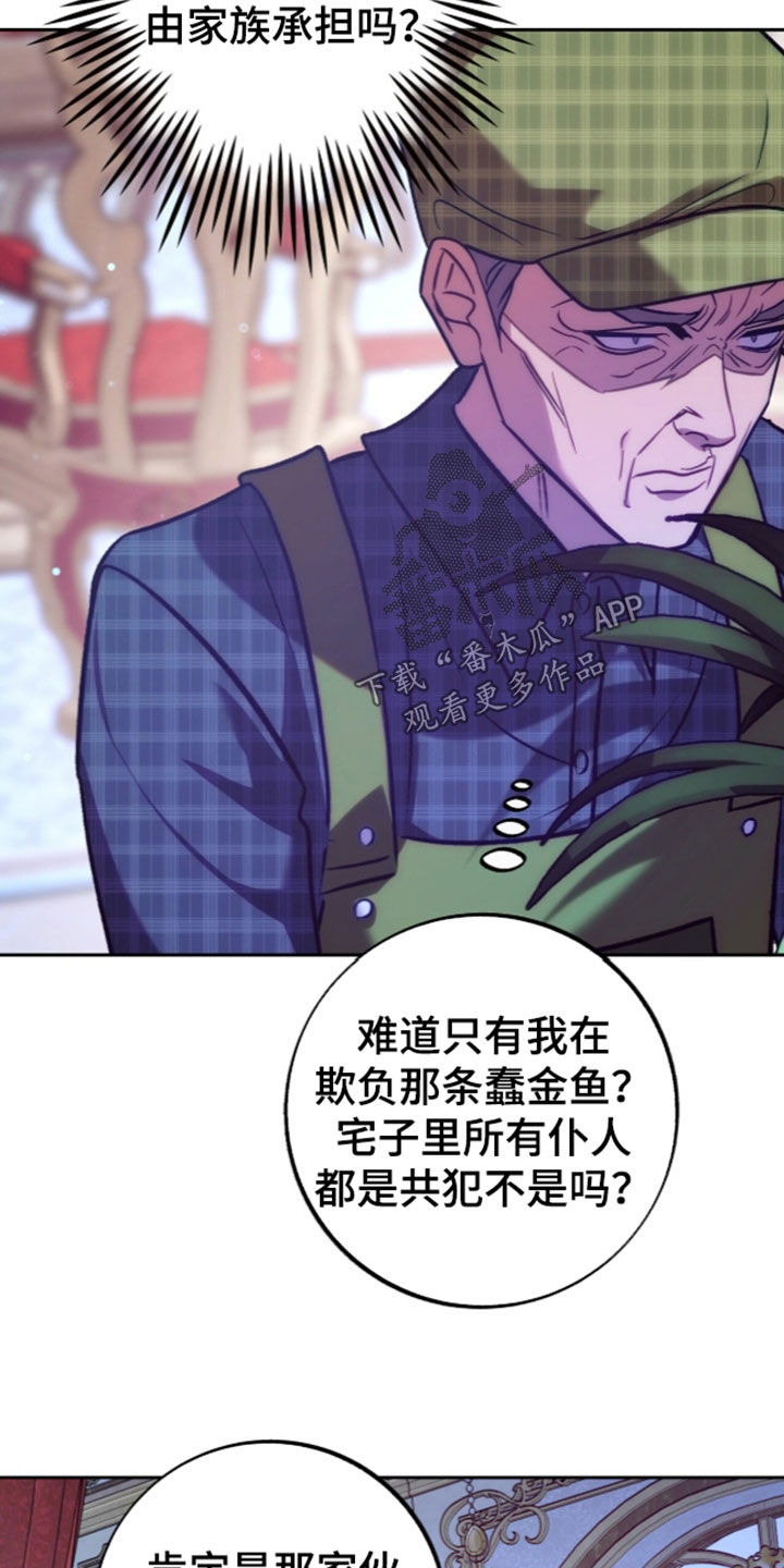 少爷的金鱼仆从漫画,第65章：棋子5图