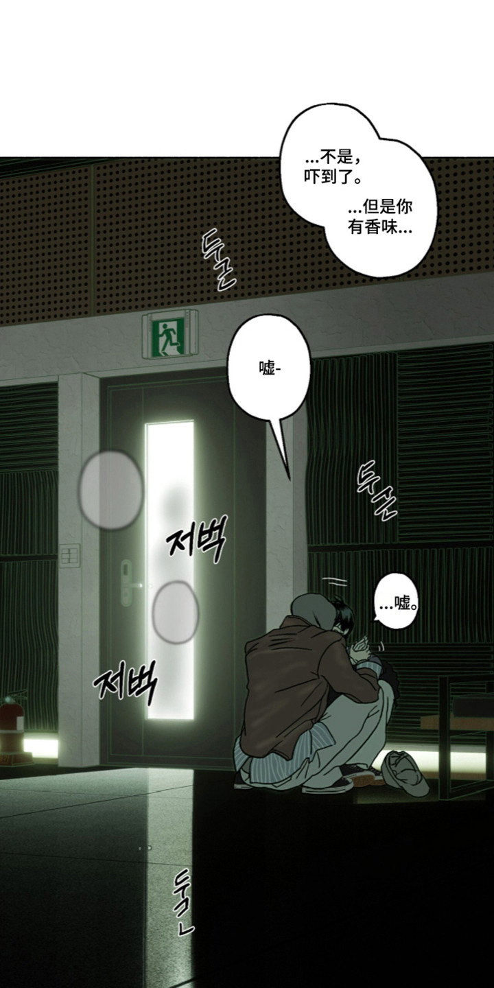 梦想男孩漫画,第65章：全都变了3图