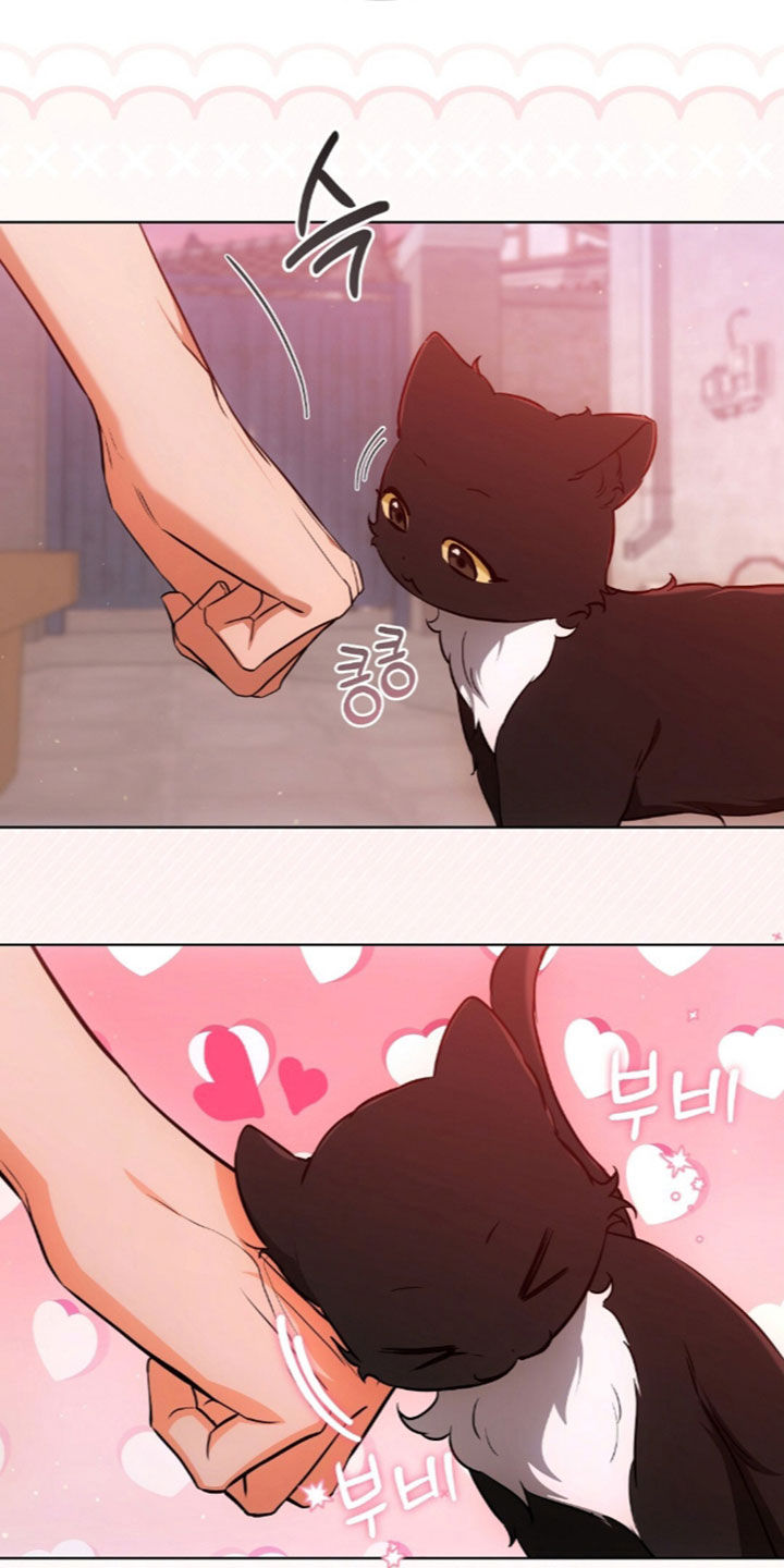 我的黑猫少年漫画,第67章：没有戒备心4图