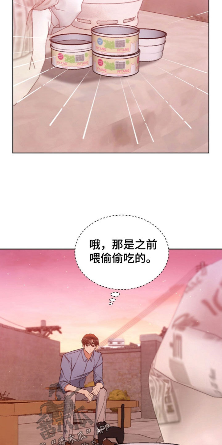 我的黑猫少年漫画,第67章：没有戒备心2图