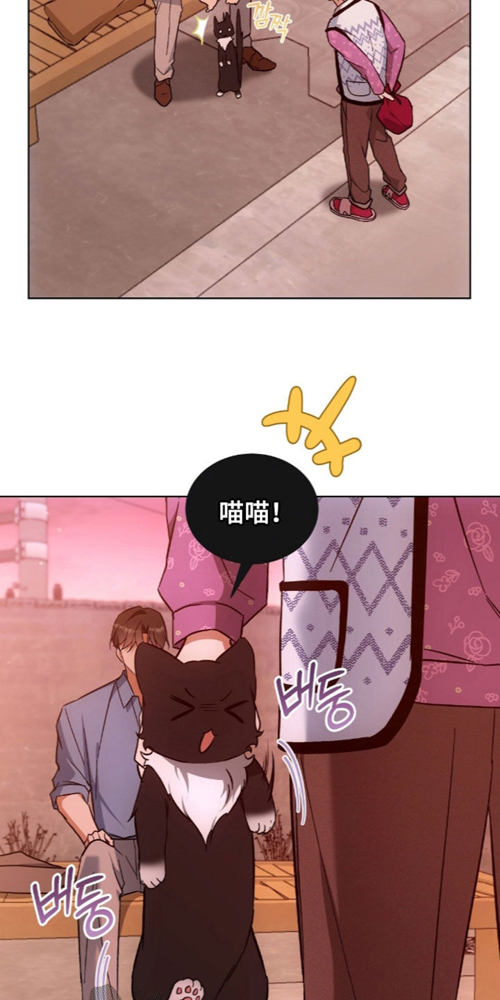 我的黑猫少年漫画,第67章：没有戒备心2图