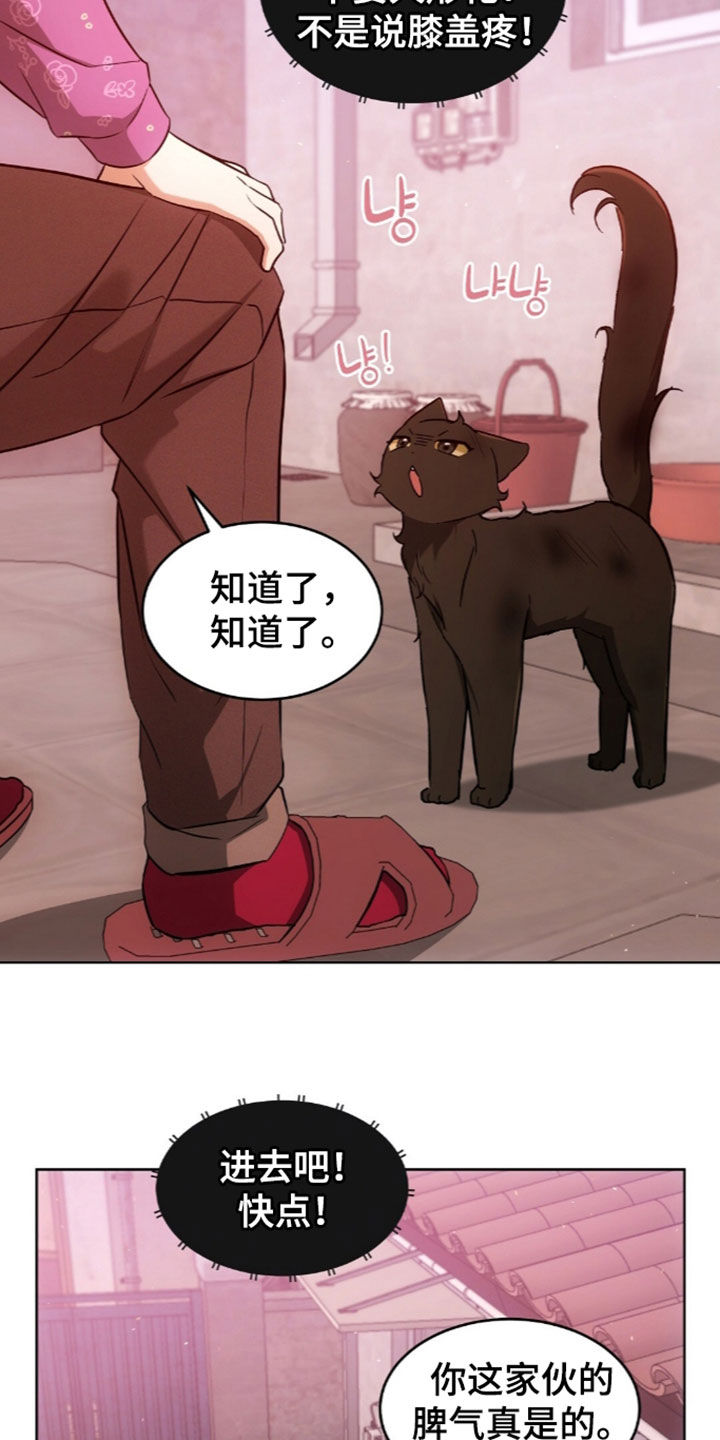 我的黑猫少年漫画,第68章：离开我的领域4图