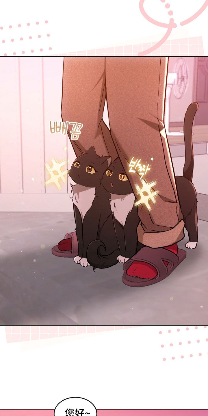 我的黑猫少年漫画,第66章：我来找偷偷的1图