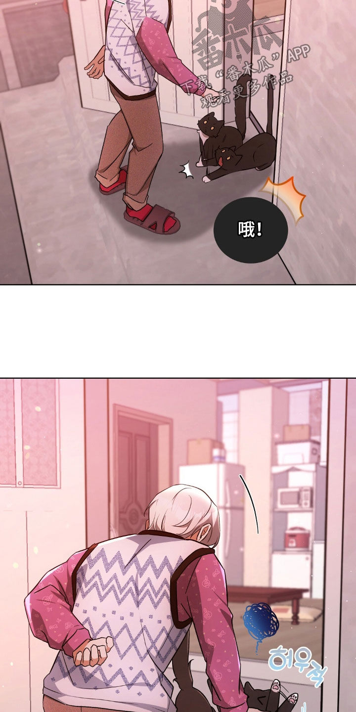 我的黑猫少年漫画,第66章：我来找偷偷的3图