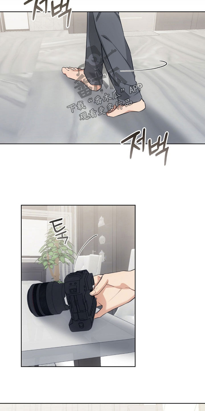 我的黑猫少年漫画,第65章：没办法装傻3图