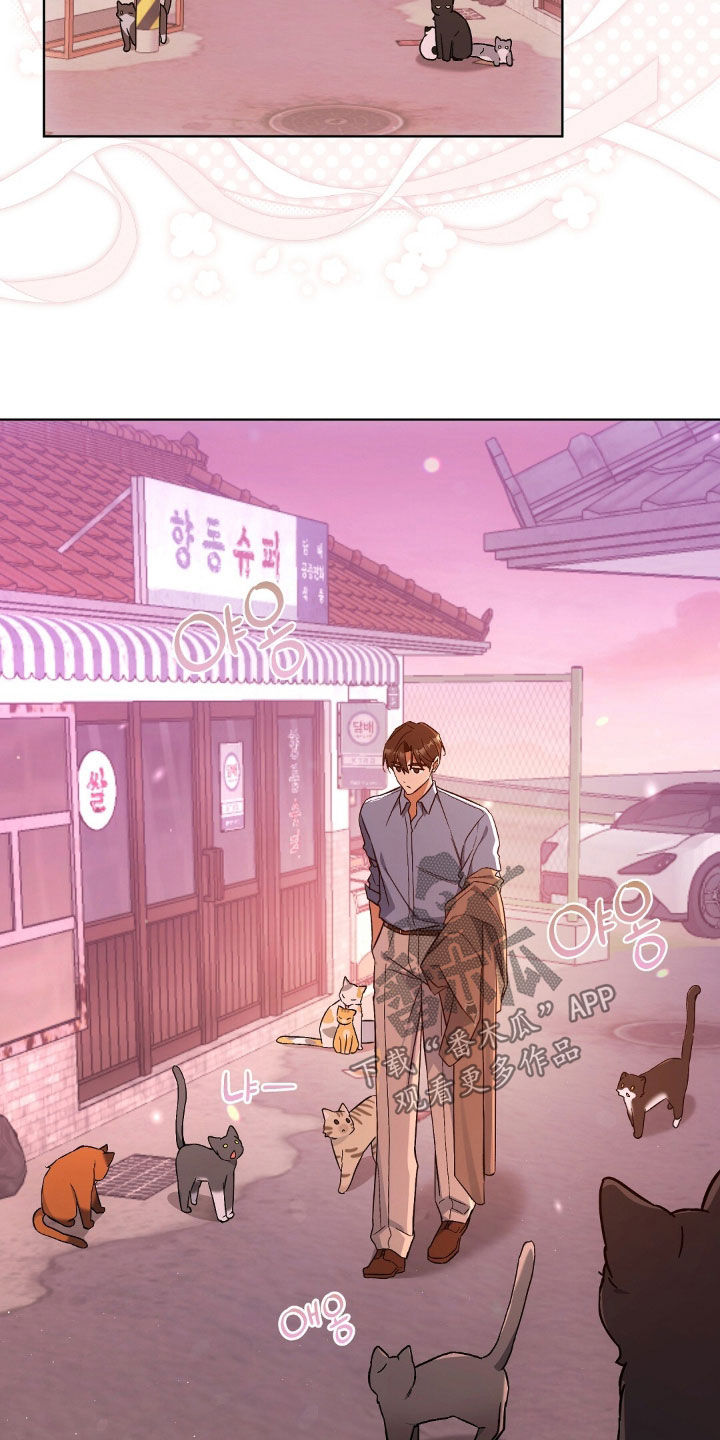 我的黑猫少年漫画,第65章：没办法装傻2图